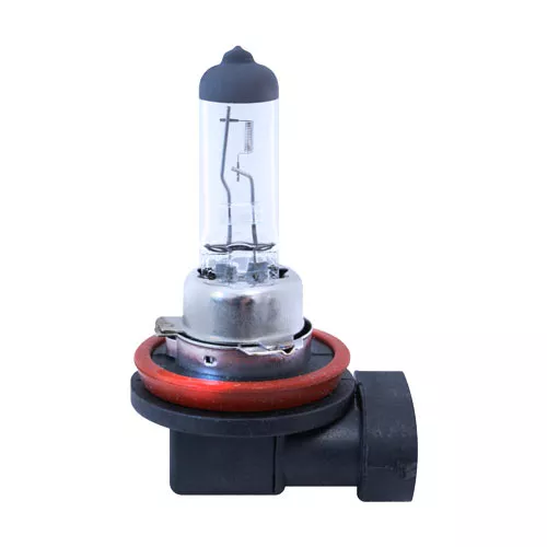 H8 Halogen Bulb 12V, 35W, Clear 2-Pack