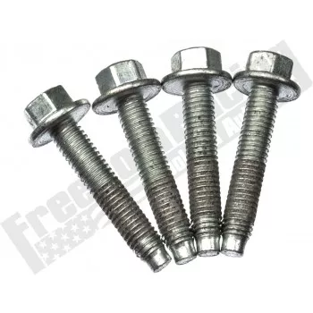 N606500-S437 3.0L 4.6L 5.4L 6.8L Ignition Coil Bolt (4 pack)