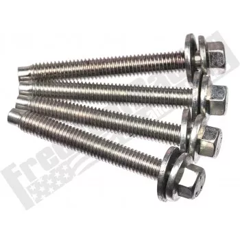 W503282-S437 Right Hand Timing Chain Guide Upper Mounting Bolt (4 Pack)
